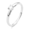 PLV0004E Hearts 0,25 ct Platina Solitaire ring in platina met een briljant geslepen diamant verlovingsring kopen