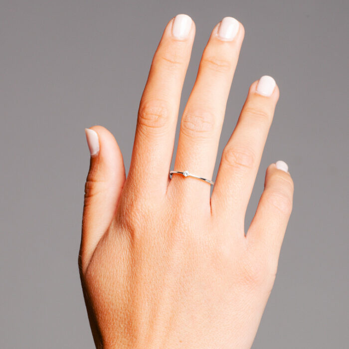 wgv0043e18 hand groot