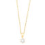 GGC0041E18 | Princes | 0,05 ct | Geelgoud | 18 karaat ketting met diamanten hanger in goud