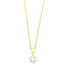 GGC0042E18 | Princes | 0,10 ct | Geelgoud | 18 karaat ketting met diamanten hanger in goud