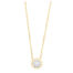 GGC0052E18 | Circle | 0,20 ct | Geelgoud | 18 karaat ketting met diamanten hanger in goud
