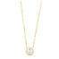 GGC0051E18 | Circle | 0,15 ct | Geelgoud | 18 karaat ketting met diamanten hanger in goud