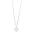 WGC0036E18 | Princes | 0,20 ct | Witgoud | 18 karaat ketting met diamanten hanger in goud