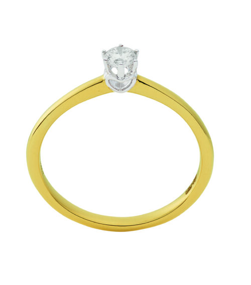wgv0307e eclat R2022 ring geelgoud 0,15 ct Solitaire ring in geelgoud met een briljant geslepen diamant verlovingsring kopen