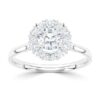 wgv0537e14 rich halo ring briljant 0,74 ct witgoud